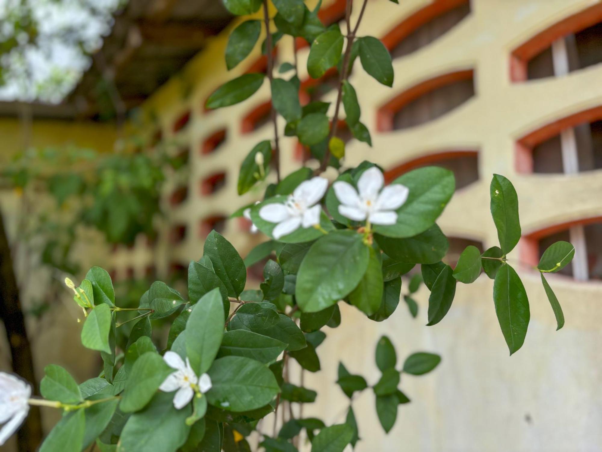 Bed and Breakfast Les Fleurs House Khao Lak Exterior foto